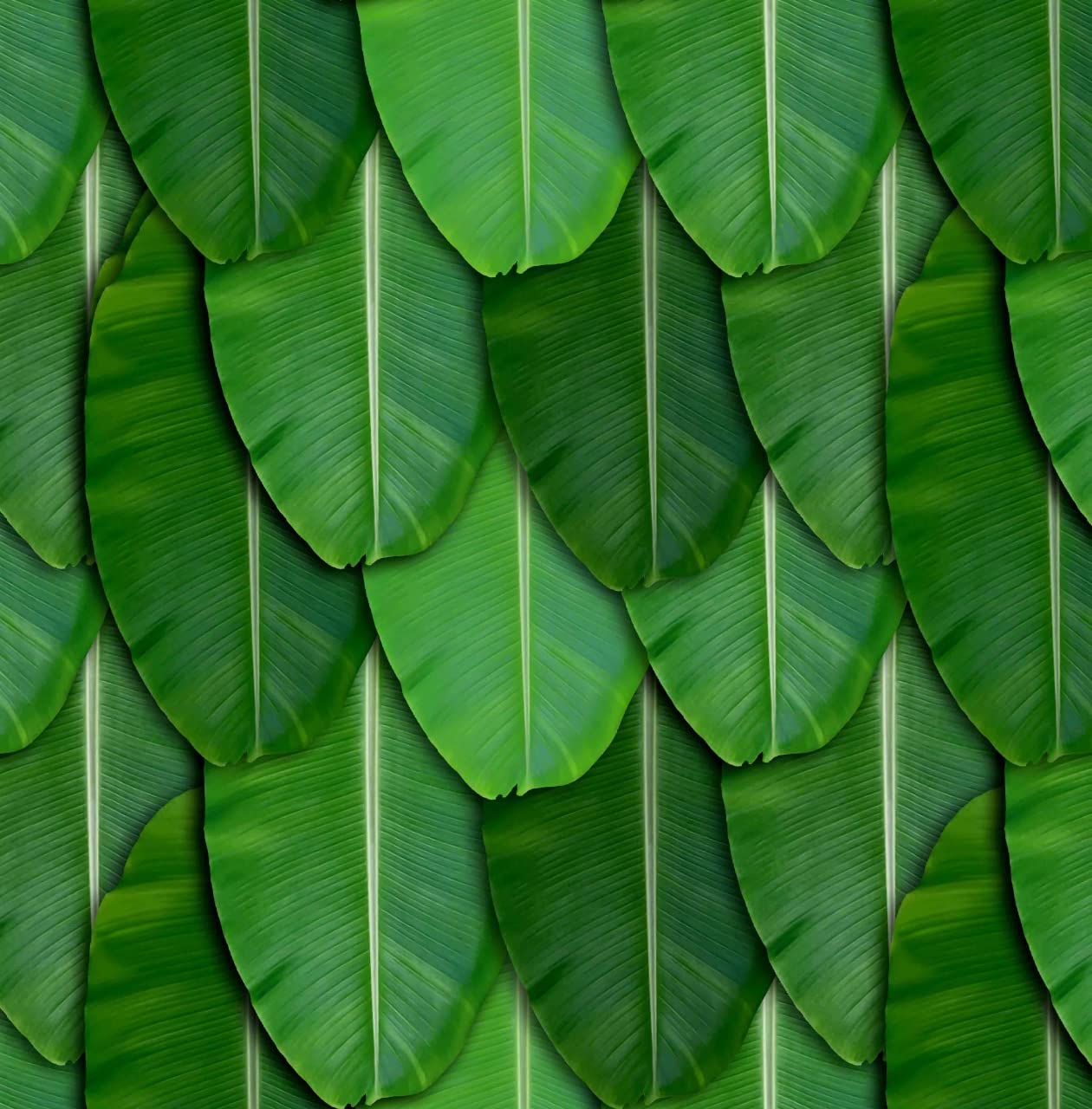 Banana Leaf Backdrop